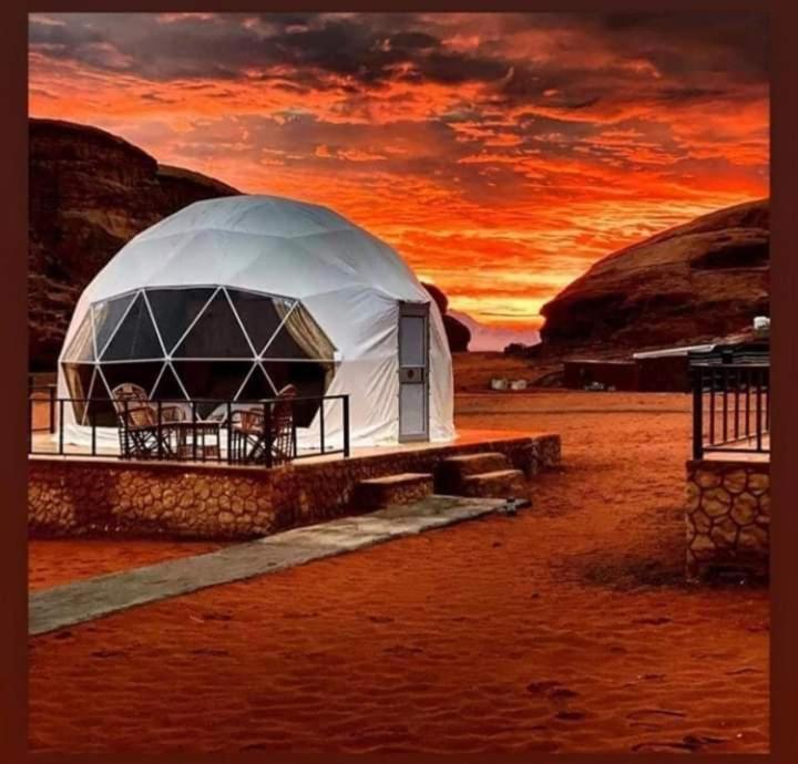Desert Beauty - Wadi Rum Esterno foto